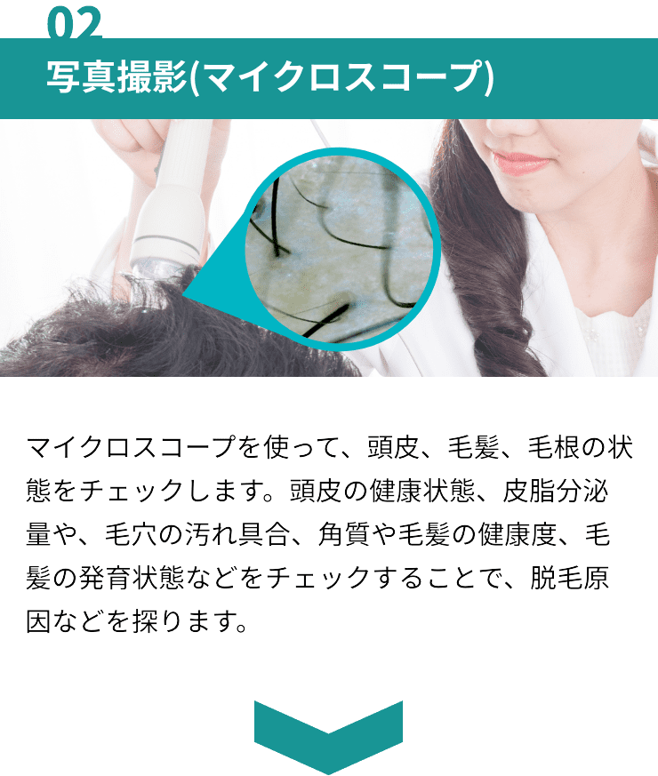写真撮影(マイクロスコープ)