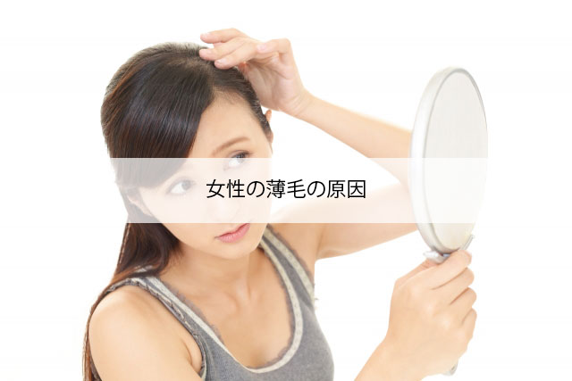 女性の薄毛の原因