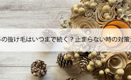 冬の抜け毛はいつまで続く？止まらない時の対策法