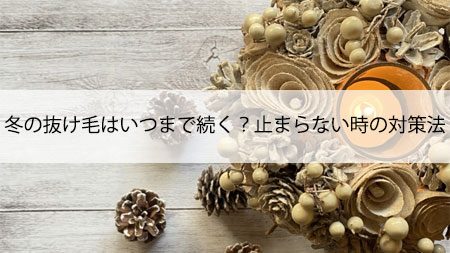 冬の抜け毛はいつまで続く？止まらない時の対策法