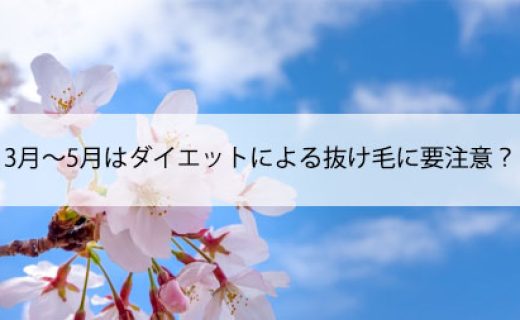 3月～5月はダイエットによる抜け毛に要注意？