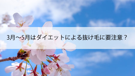 3月～5月はダイエットによる抜け毛に要注意？